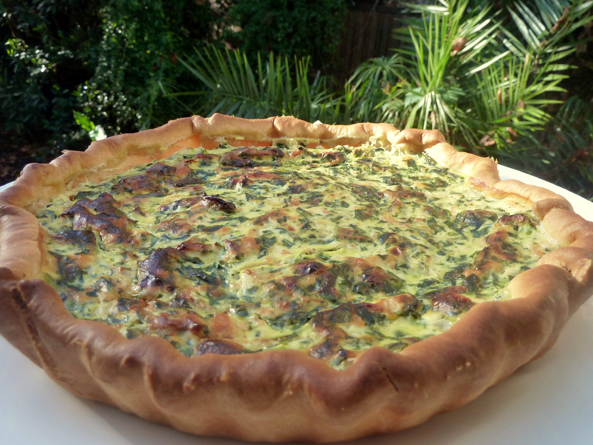 Tarte Quiche poulet épinards dinde